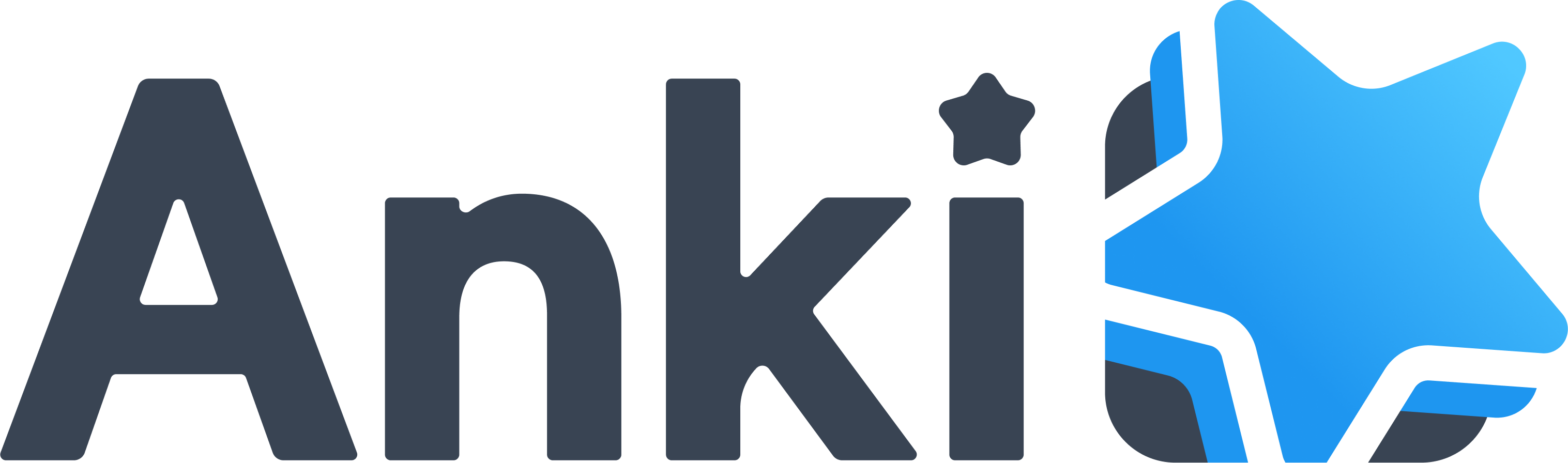 Team Anki